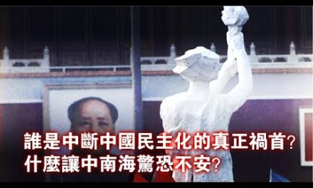 张杰：“八九六四”中断了中国民主化进程吗？