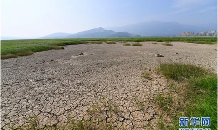 王维洛：鄱阳湖干涸与三峡工程