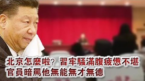 张杰：为什么中国的政策越来越极端？