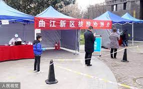 张仪 ：中国地方政府的晚清化：以西安防疫为例