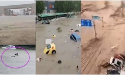 王维洛: 郑州水灾真相难以掩盖（七）