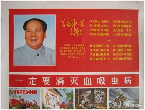 王维洛: 毛泽东的消灭血吸虫病和习近平的防疫清零