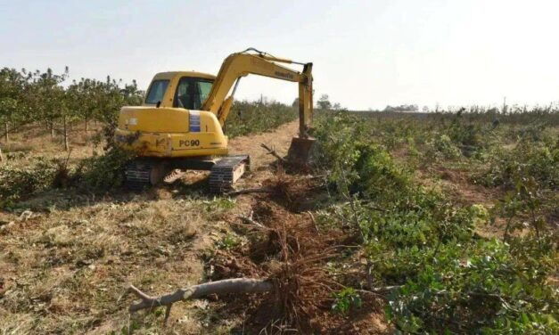 王维洛 | 退林还耕的结果只能是严重的地质灾害