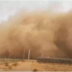 王维洛 | 2023年中国沙尘暴次数很可能突破历史纪录