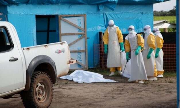 【译丛】2014年的非洲埃博拉病毒（Ebola）疫情起源于实验室吗？