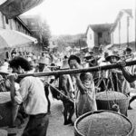 易尧 | 超越中国墙：土地私有化与农民的主体之路（下）