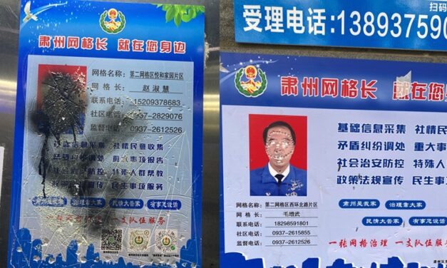 何愚 | 白紙革命之外的沉默反抗