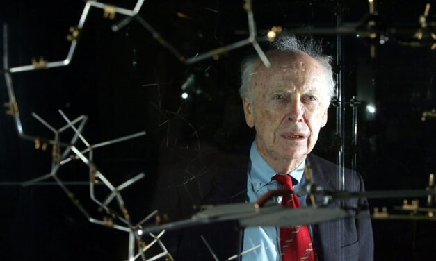 Perter Zhou | 沃森的困境：科学、偏见与伦理的边界