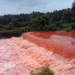 【转载】稀土的真相：不是中国的资源，而是中国的牺牲